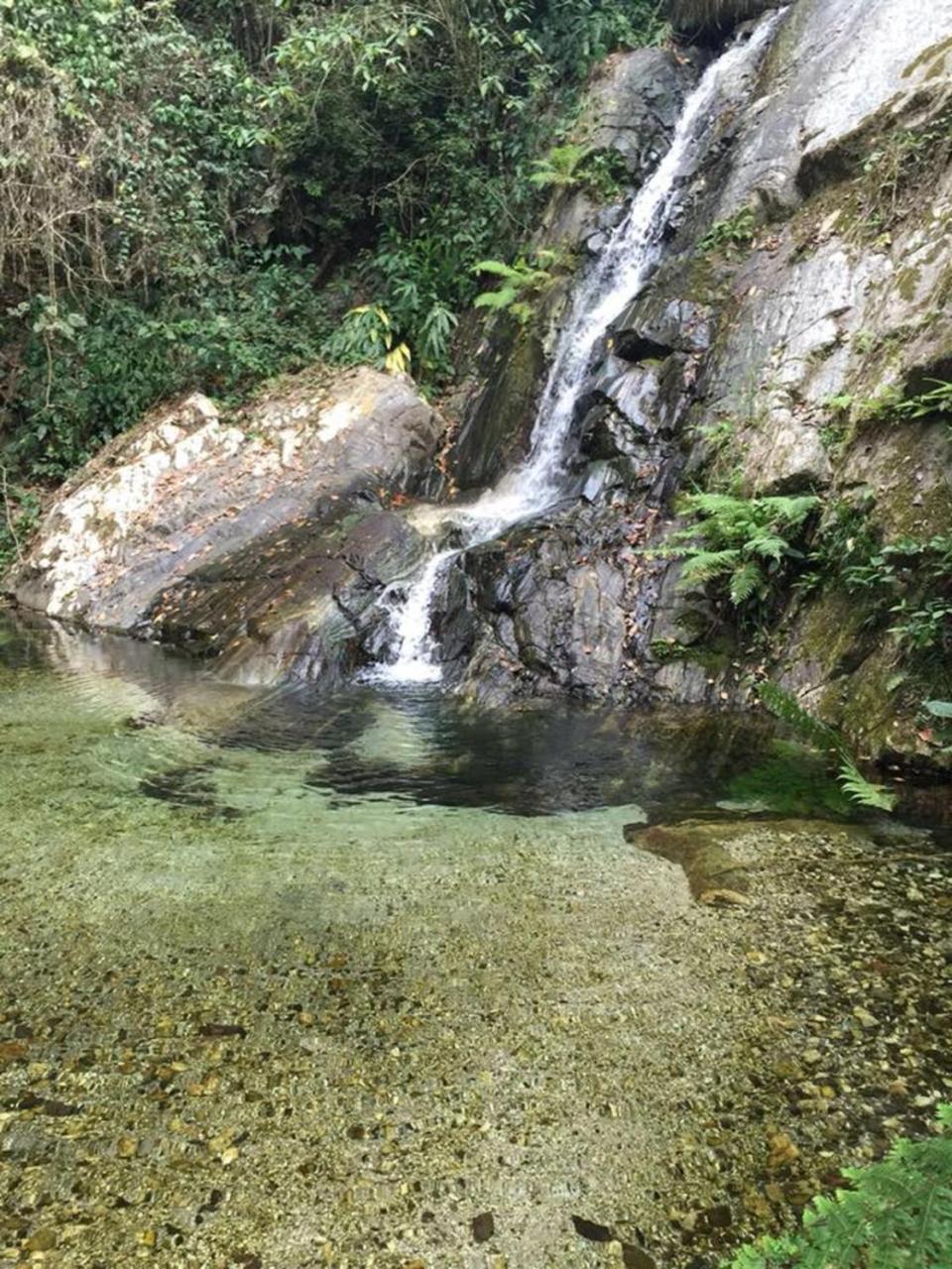Glamping Finca Margaritas Pluma Hidalgo Exterior foto